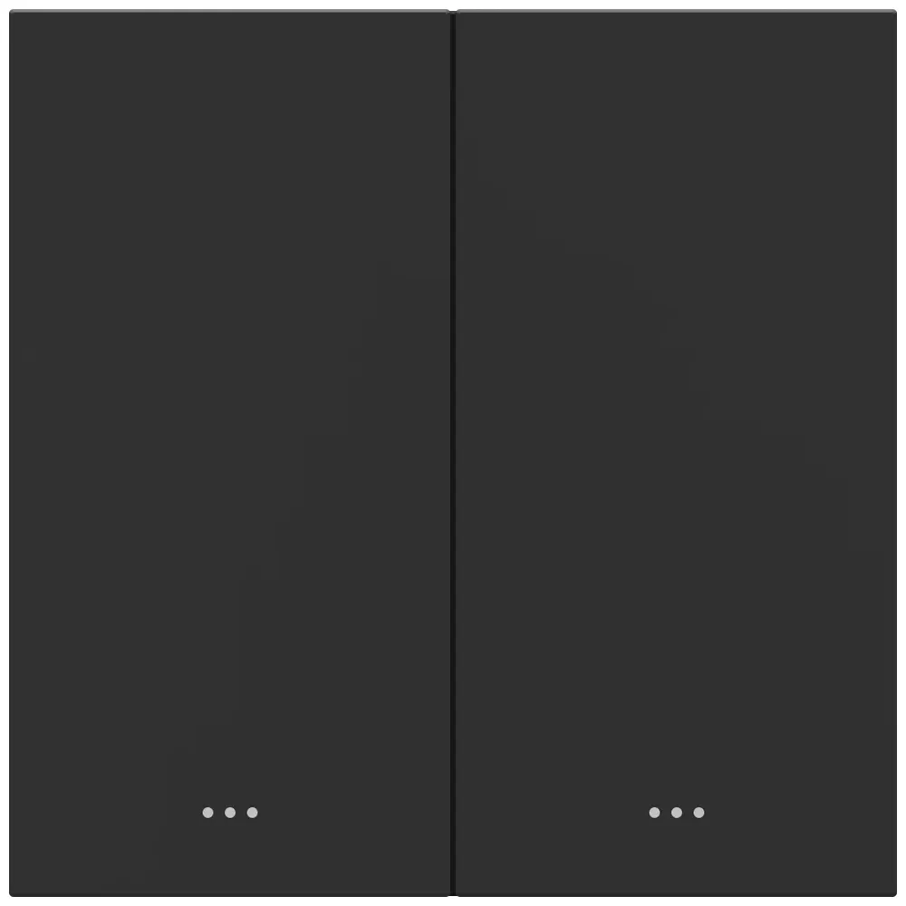 Akubela 2 Gang Smart Key Switch — Black thumbnail