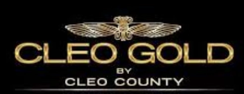 Customer logo